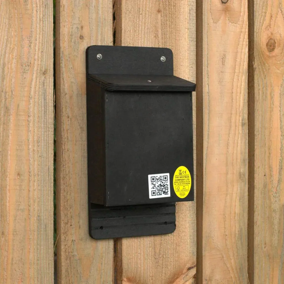 Improved Crevice Bat Box