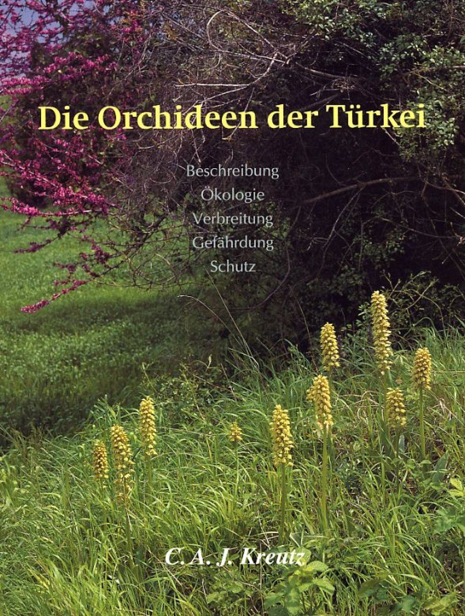 Die Orchideen der Türkei: Beschreibung, Okologie, Verbreitung, Gefährdung, Schutz [The Orchids of Turkey: Description, Ecology, Distribution, Threat, Protection]
