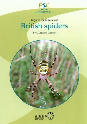 Keys to the Families of British Spiders
