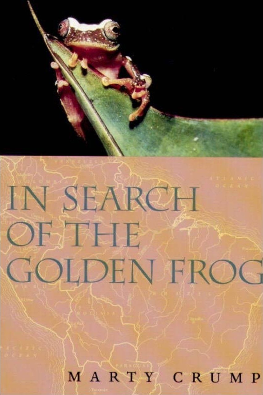 In Search of the Golden Frog