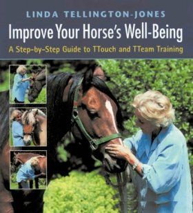 Improve Your Horse&#039;s Well-being: A Step-by-step Guide to Touch and Team Training