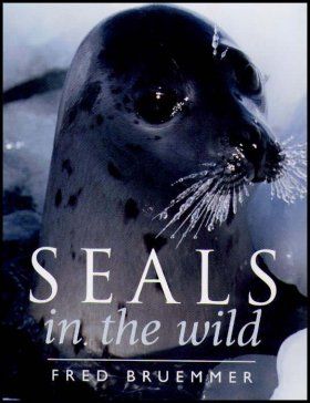 Seals in the Wild