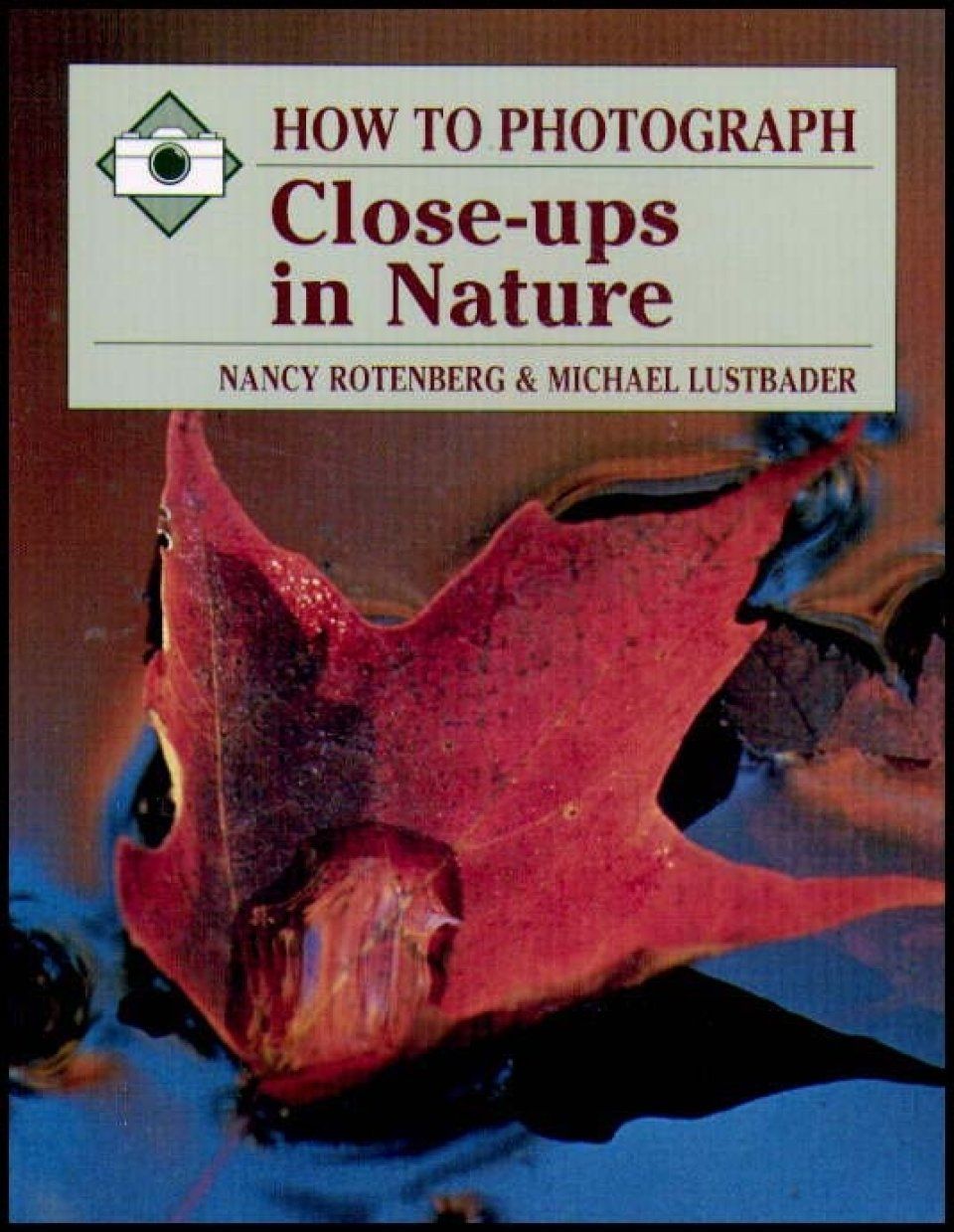 How to Photograph Close-Ups in Nature