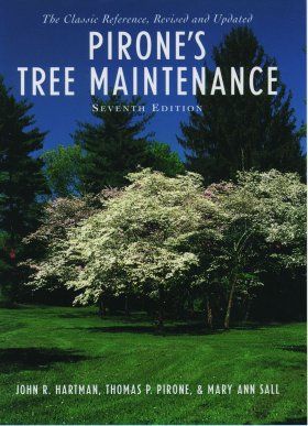 Pirone&#039;s Tree Maintenance