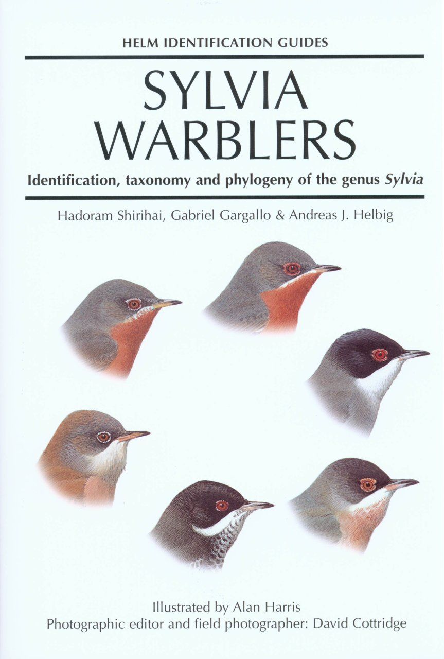 Sylvia Warblers