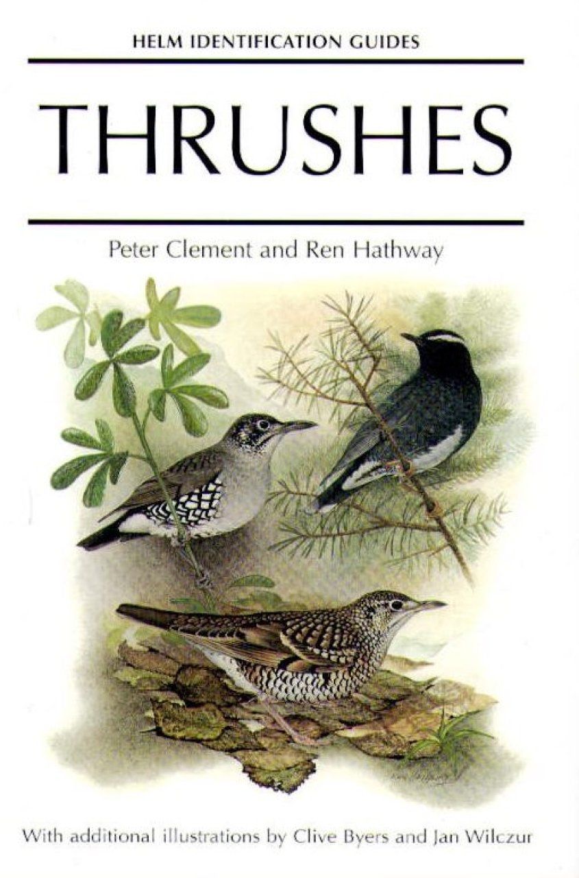 Thrushes
