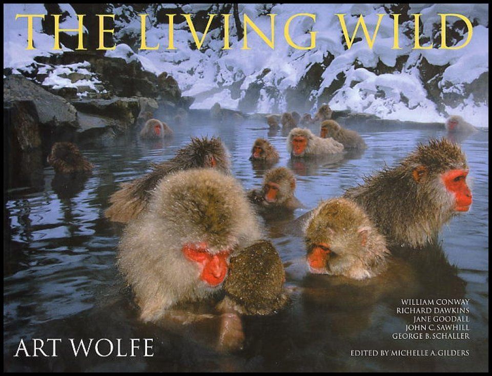 The Living Wild