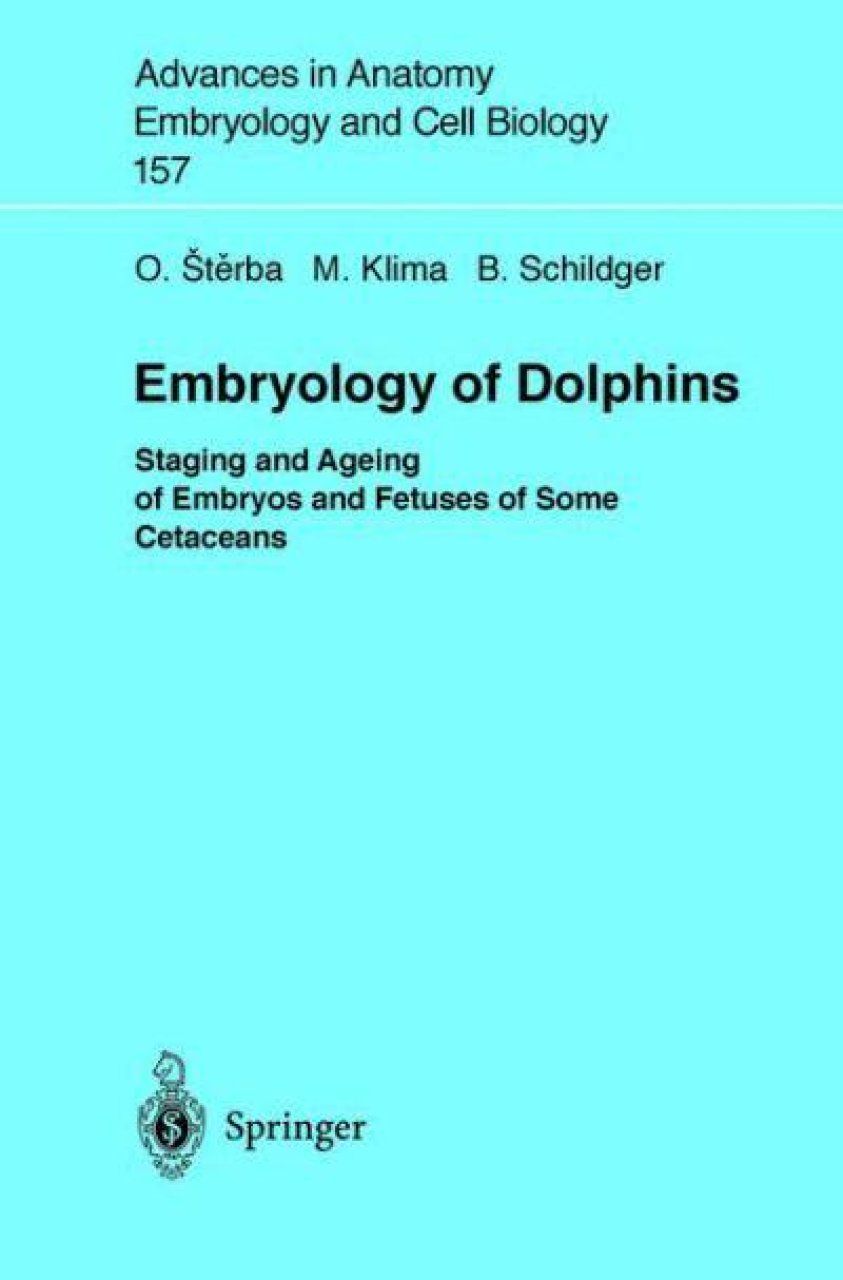 Embryology of Dolphins
