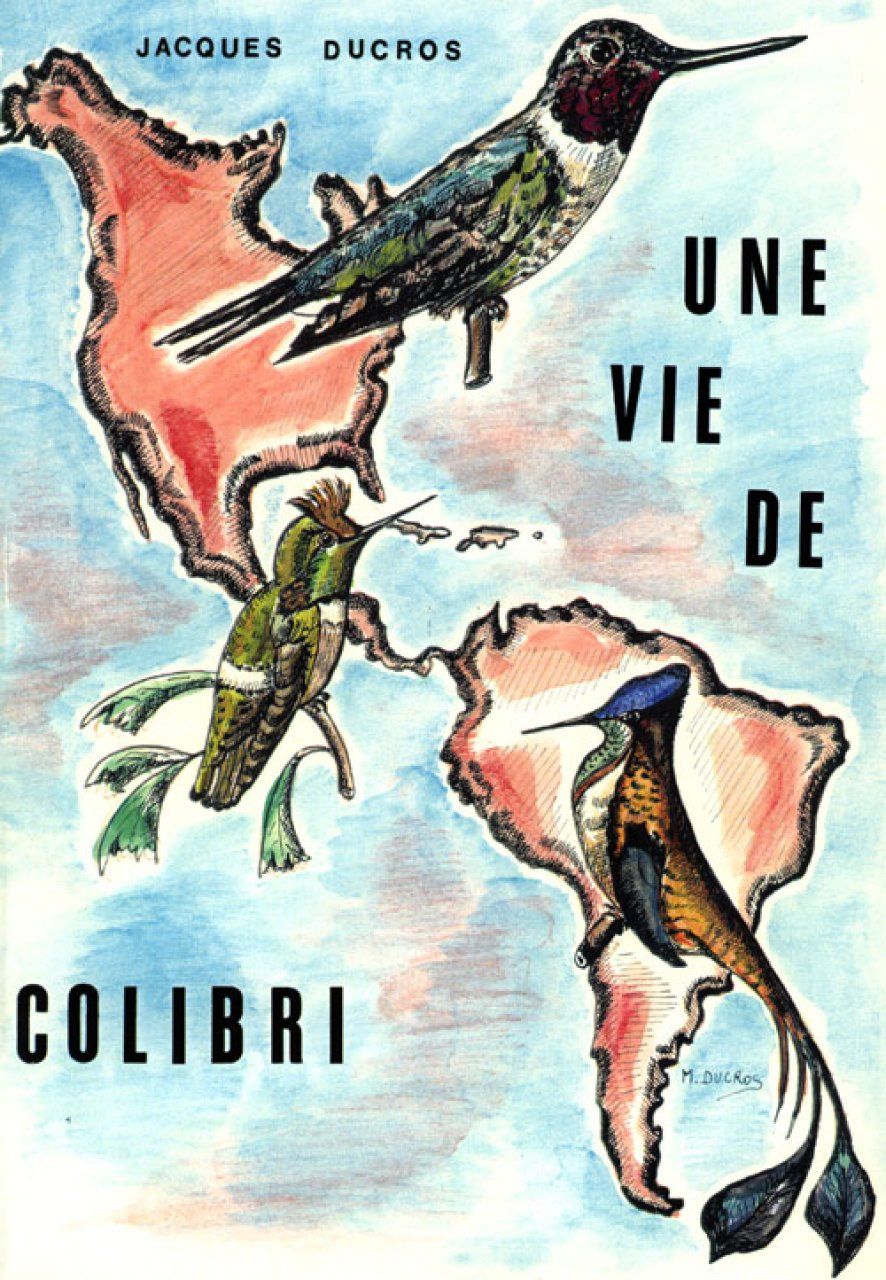 Une Vie de Colibri