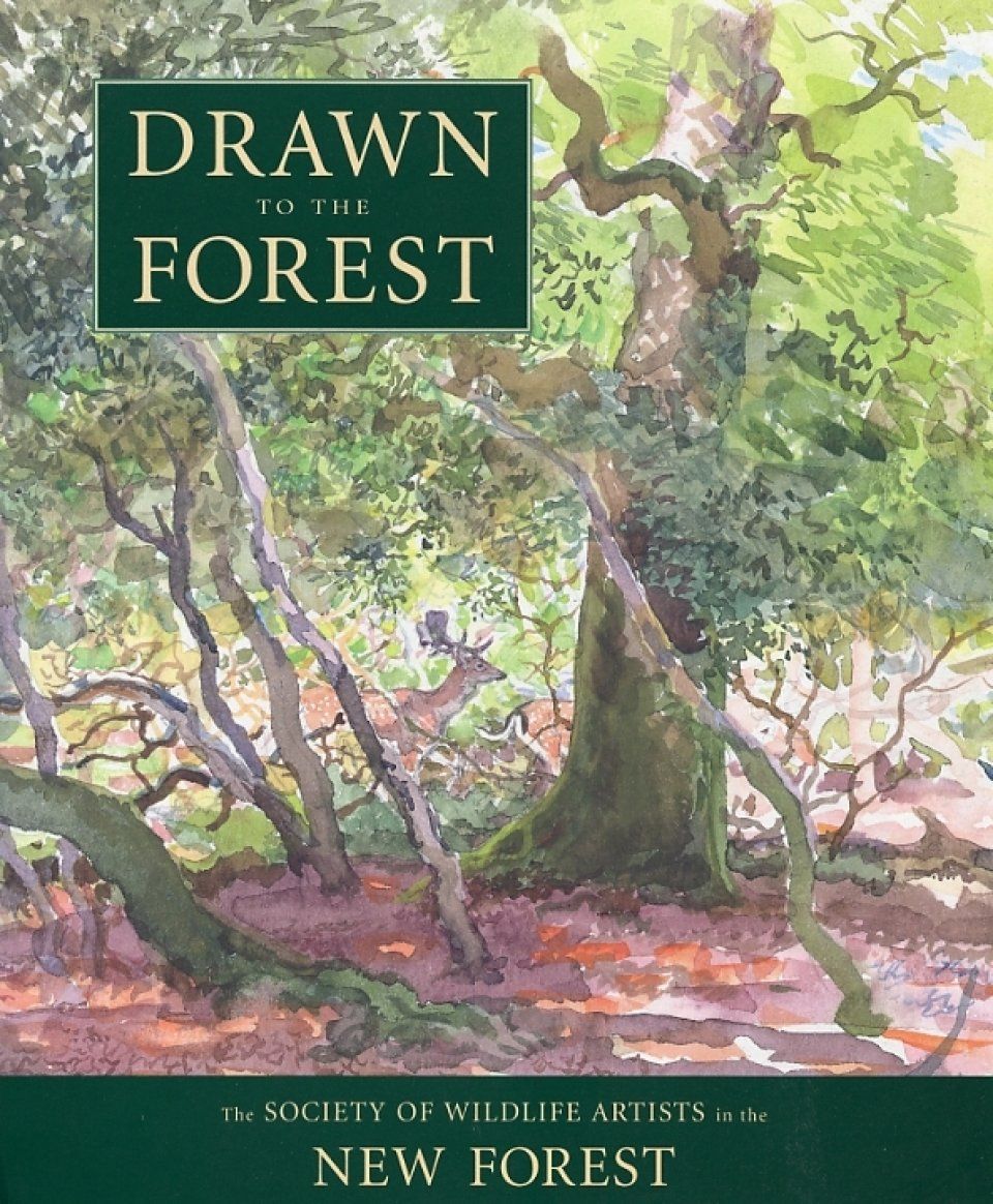 Drawn to the Forest