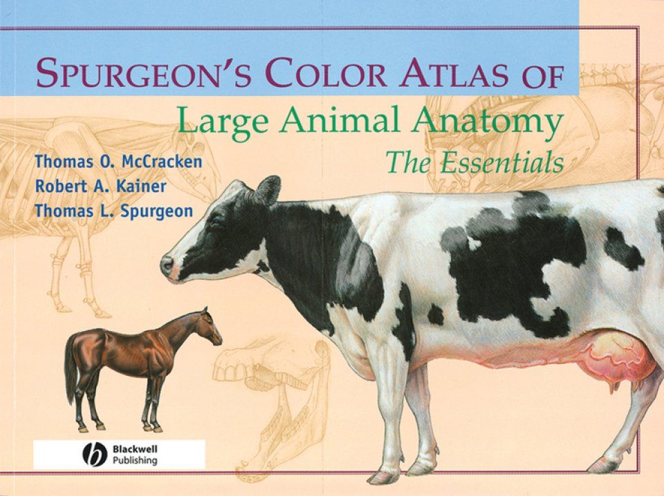 Spurgeon&#039;s Color Atlas of Large Animal Anatomy