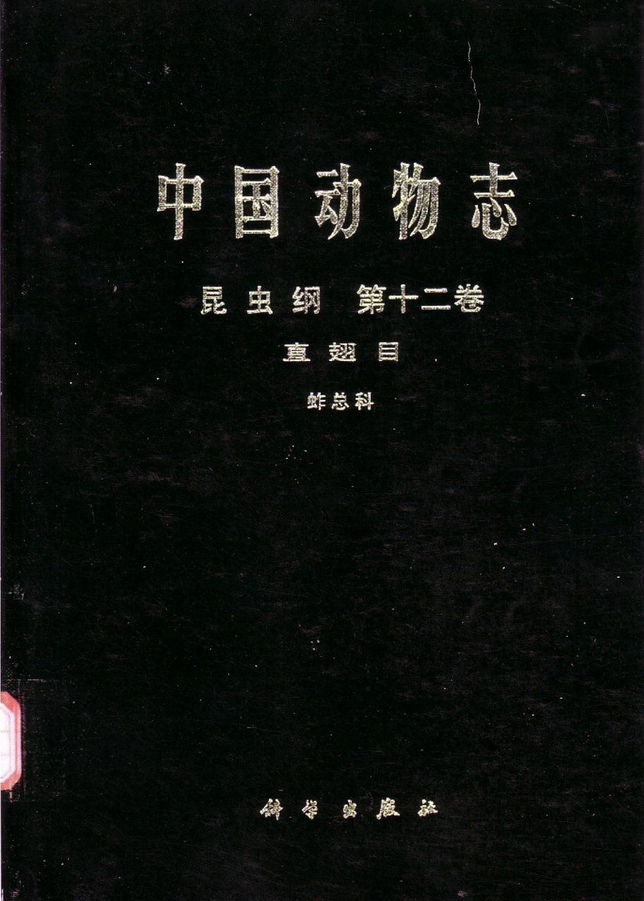 Fauna Sinica: Insecta, Volume 12: Orthoptera: Tetrigoidea [Chinese]