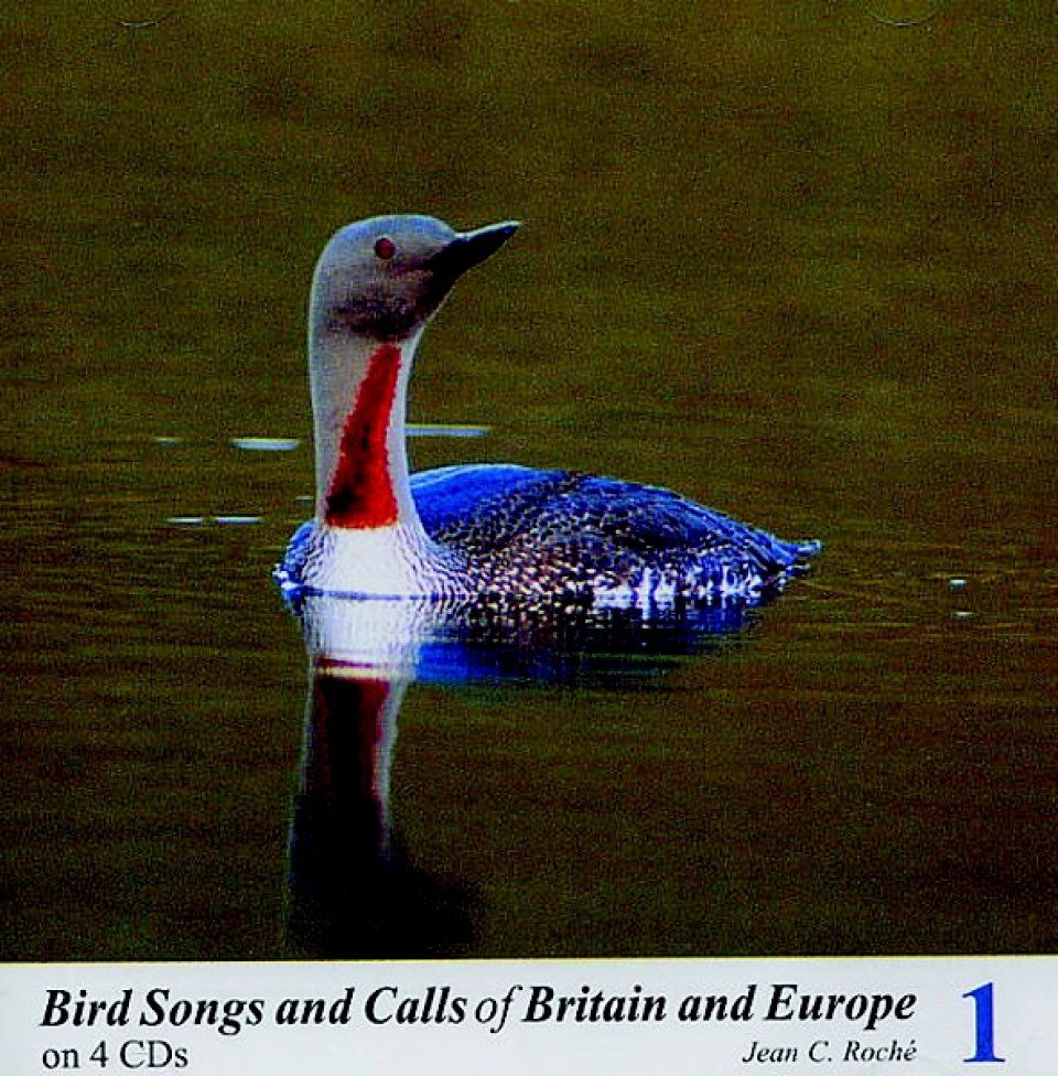 Bird Songs and Calls of Britain and Europe, Volume 1: Divers to Raptors