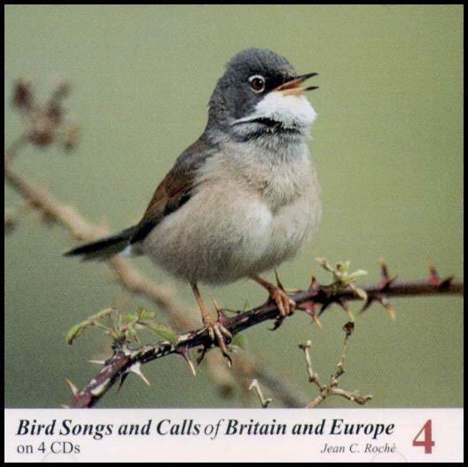 Bird Songs and Calls of Britain and Europe, Volume 4: Sylvia Warblers to Buntings
