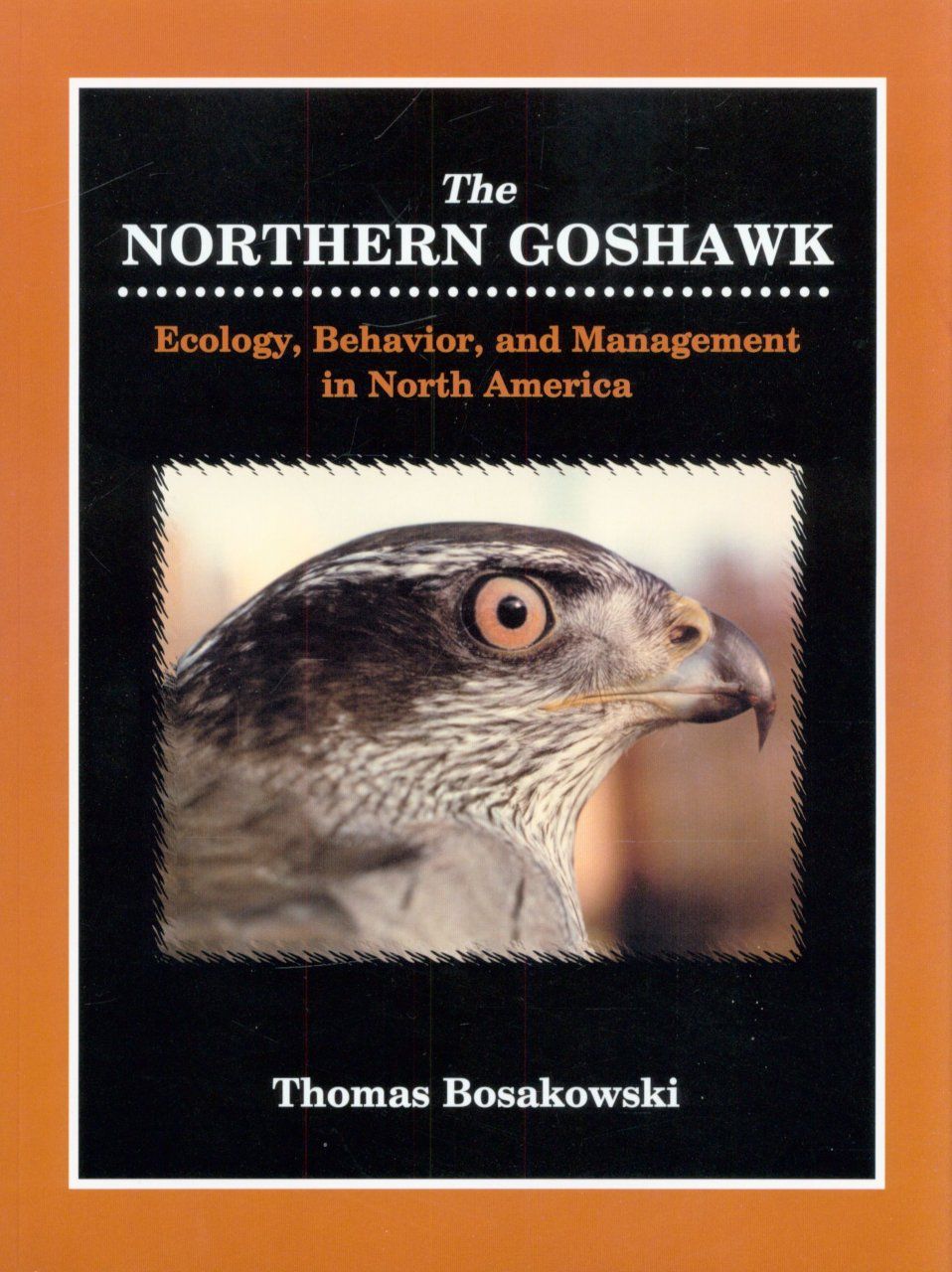 The Northern Goshawk