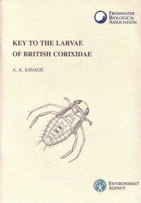 Key to the Larvae of British Corixidae