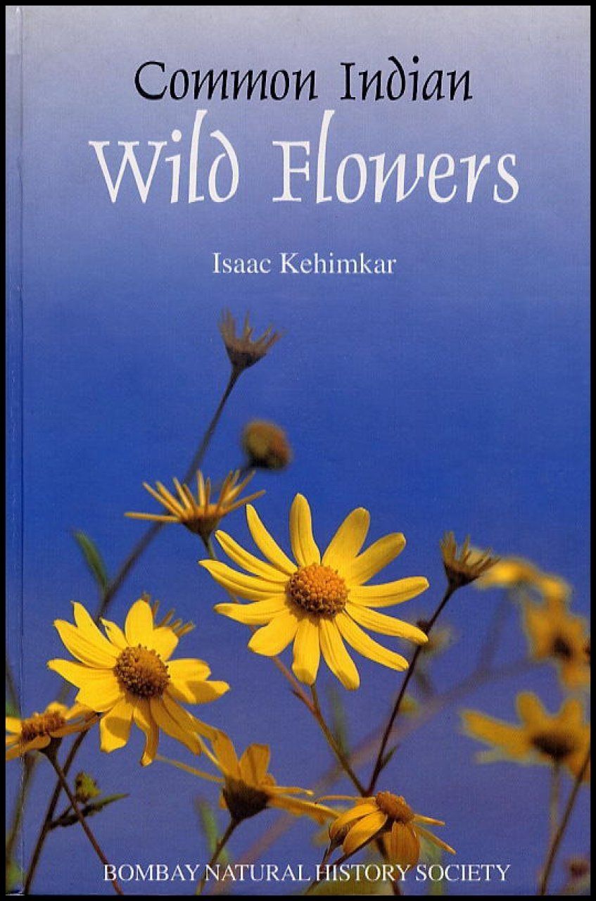 Common Indian Wild Flowers
