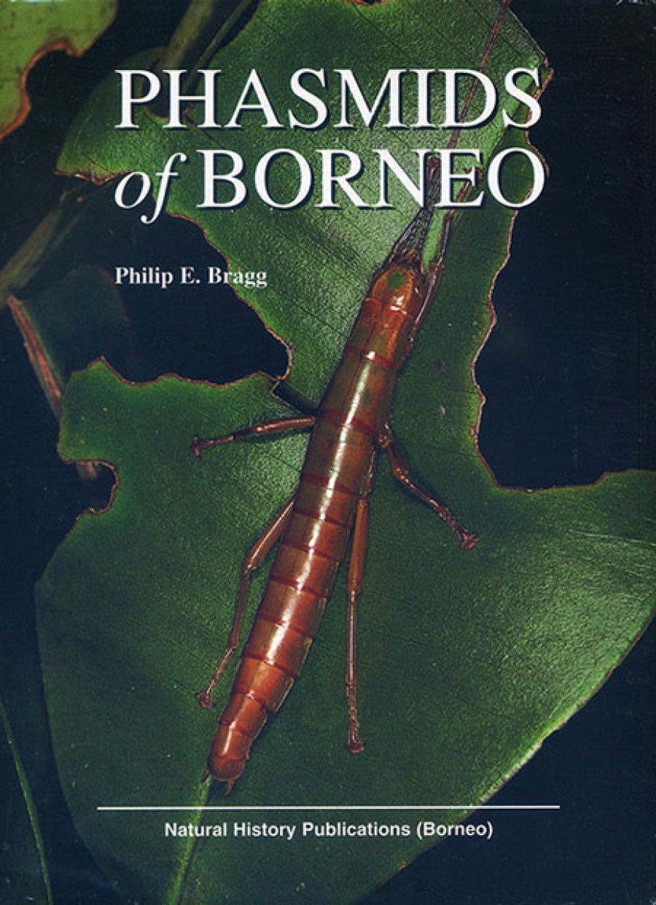 Phasmids of Borneo