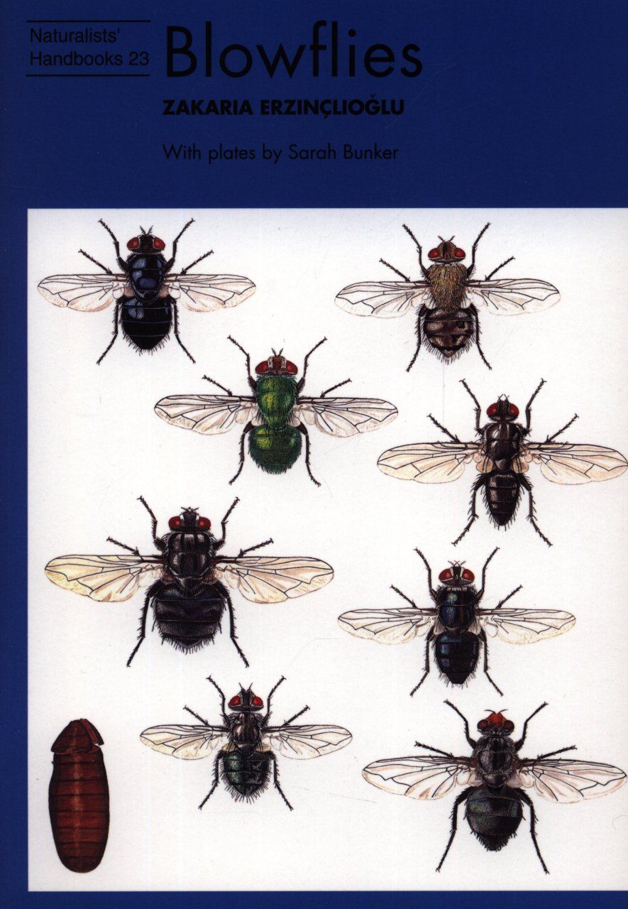 Blowflies