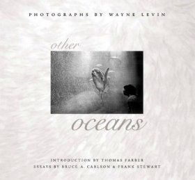 Other Oceans