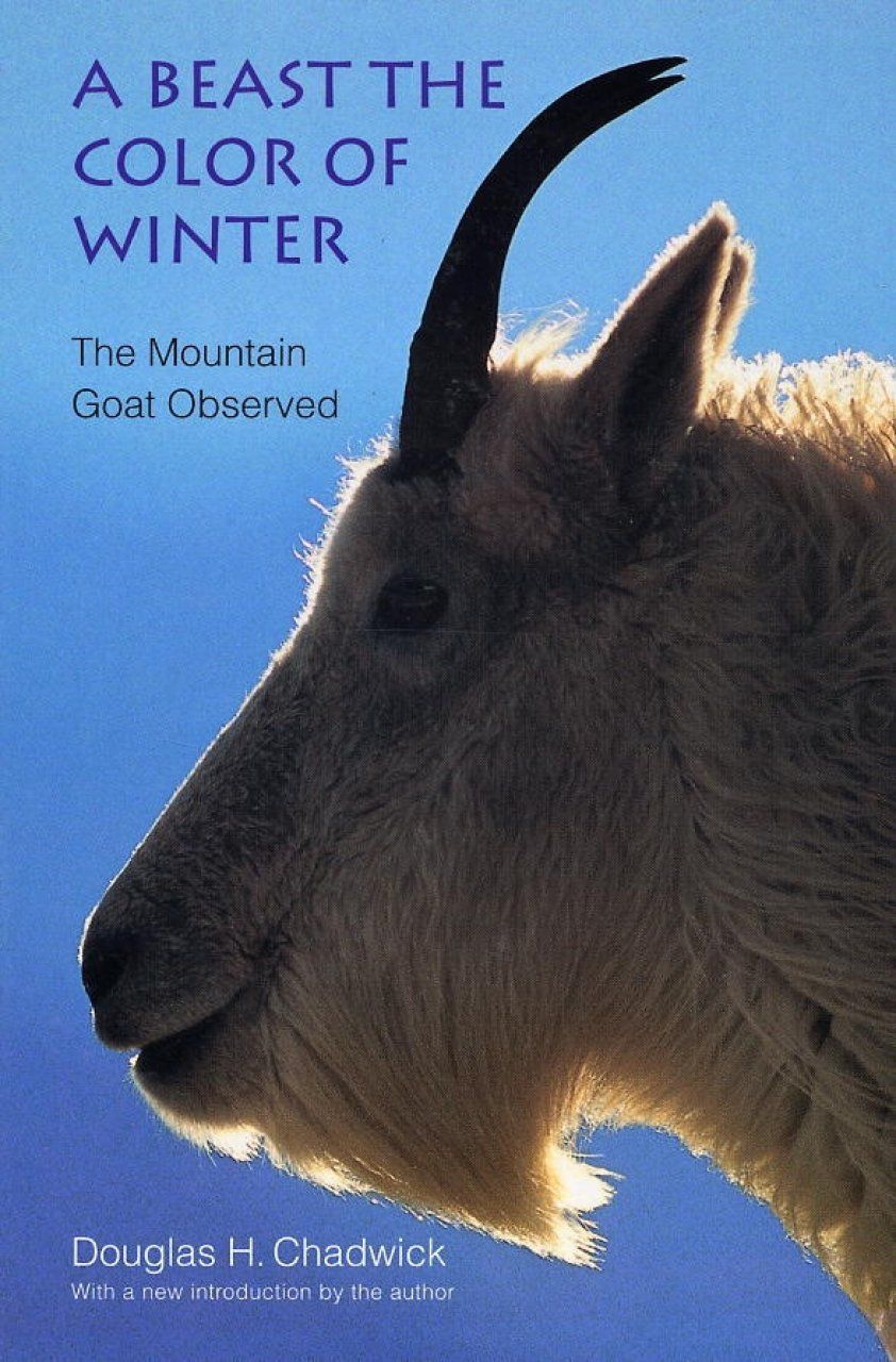 A Beast the Color of Winter