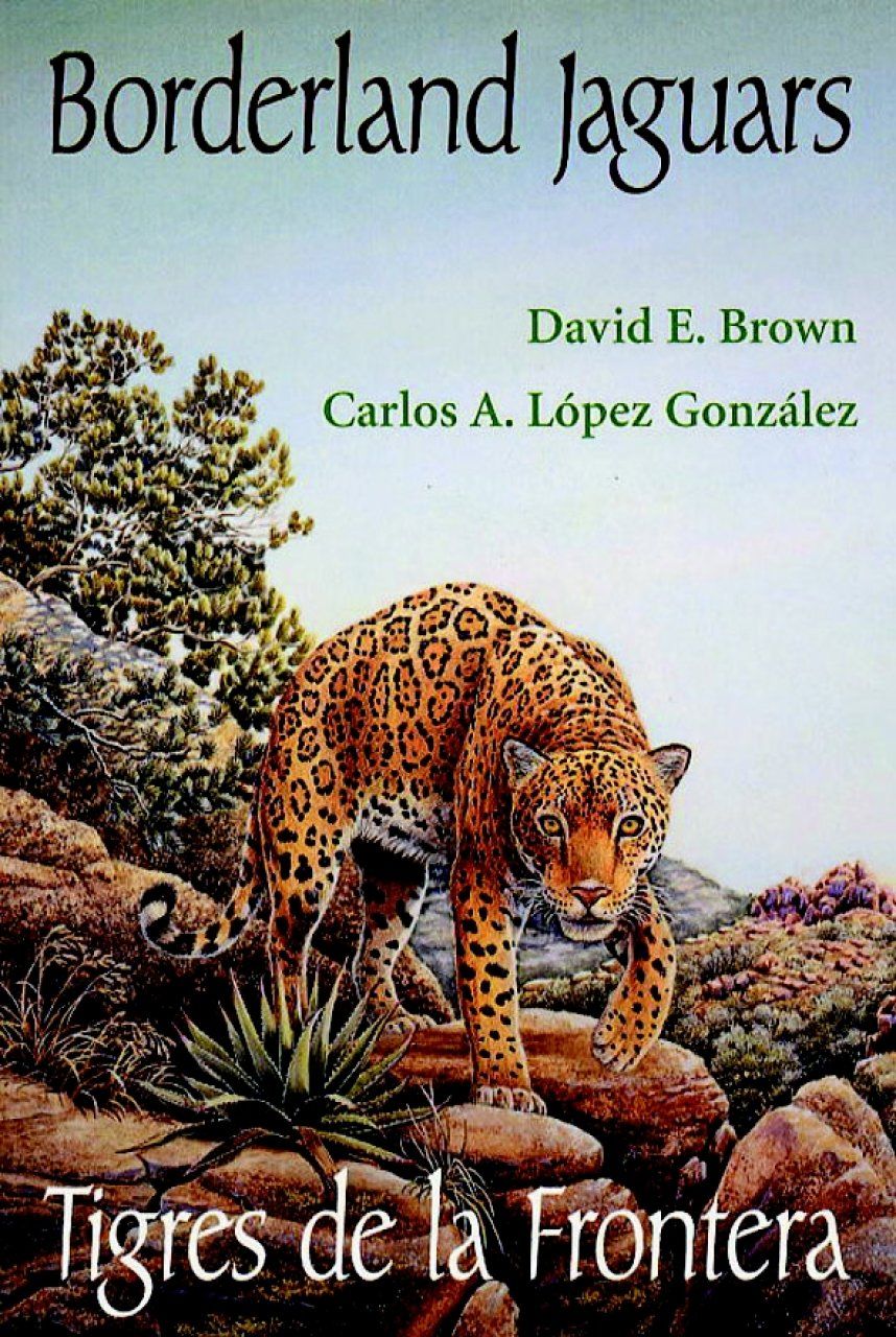 Borderland Jaguars