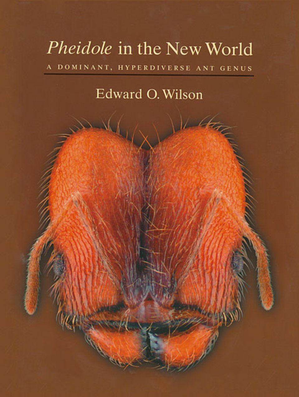 Pheidole in the New World