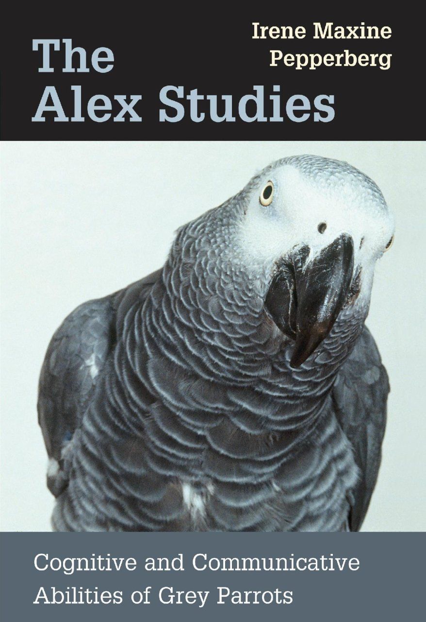 The Alex Studies