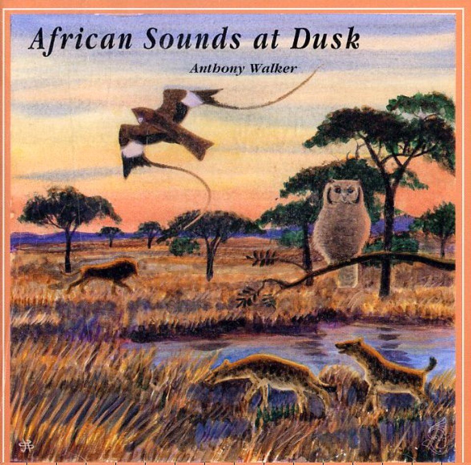 African Sounds at Dusk / Nuits Africaines
