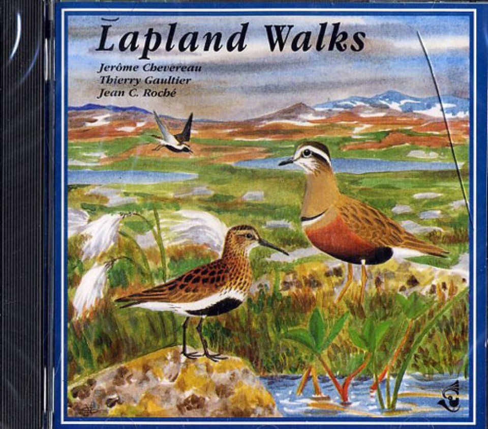 Lapland Walks / Balades en Laponie