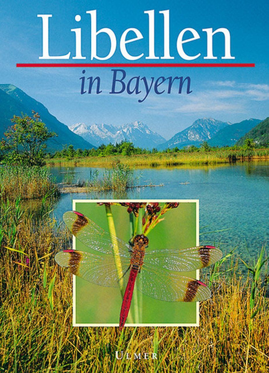 Libellen in Bayern