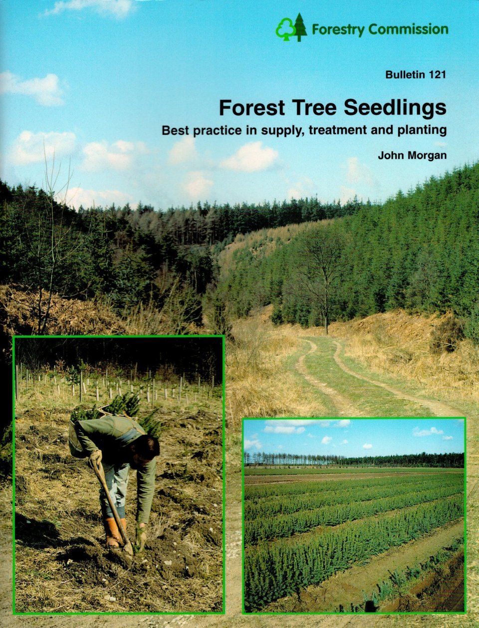 Forest Tree Seedlings