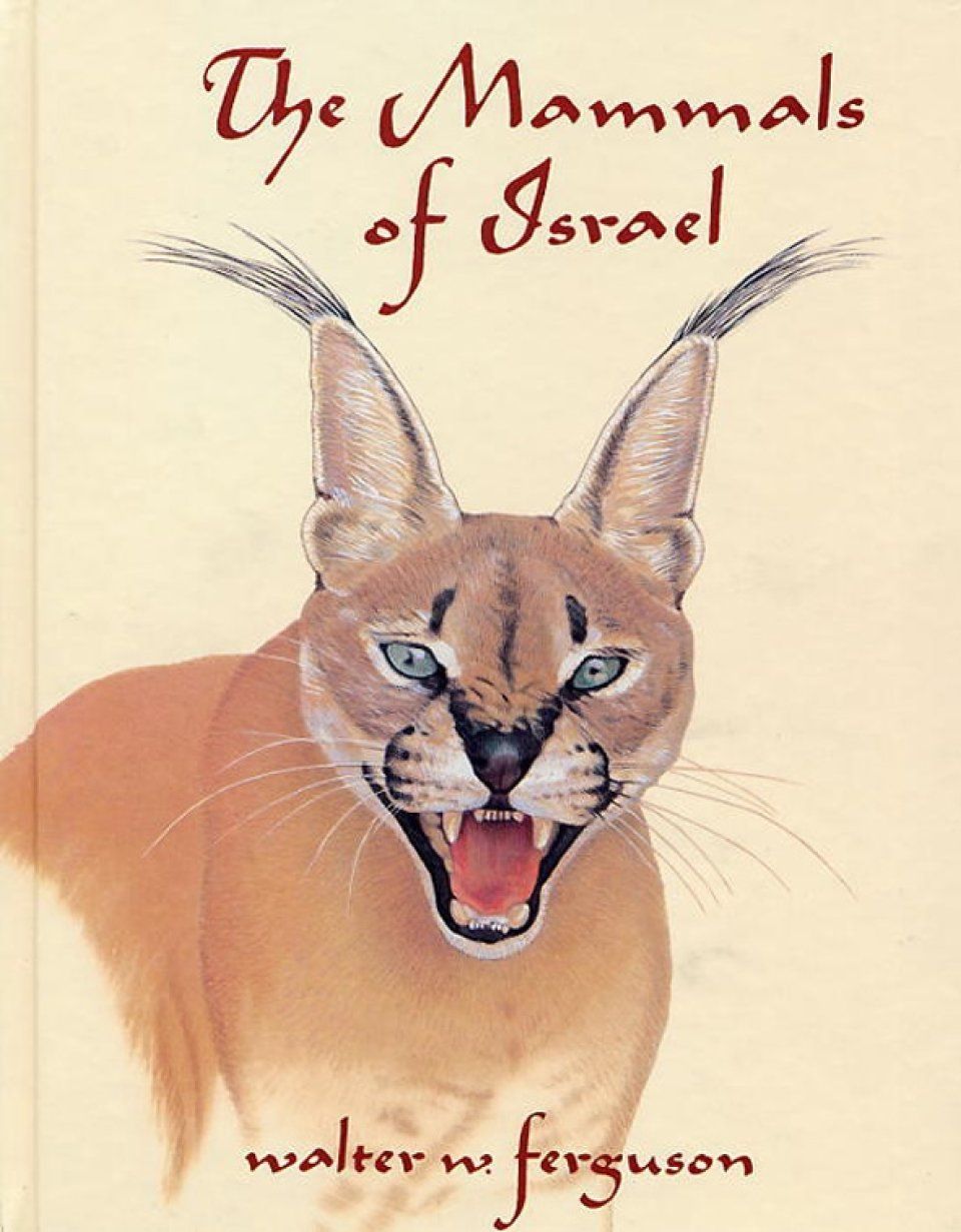 The Mammals of Israel