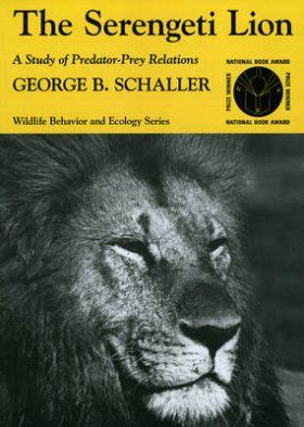 The Serengeti Lion