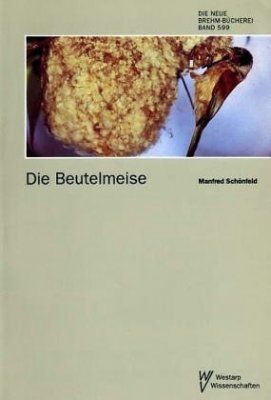 Die Beutelmeise [The Penduline Tit]