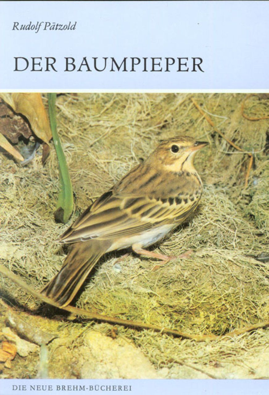 Der Baumpieper [The Tree Pipit]