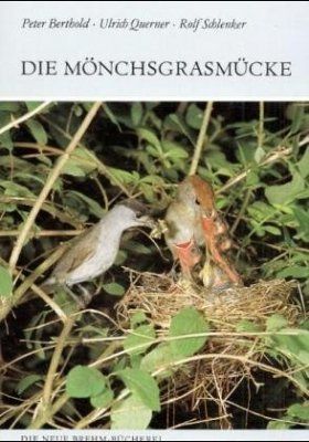 Die Monchsgrasmucke [The Blackcap]