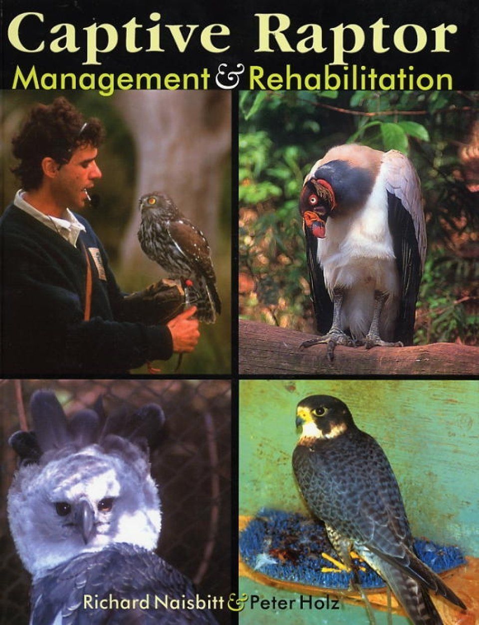 Captive Raptor Management and Rehabilitation