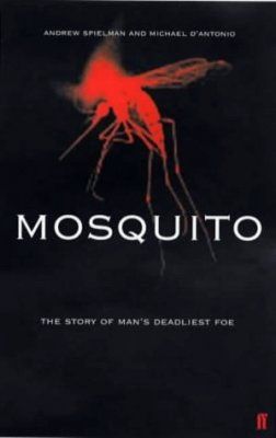 Mosquito