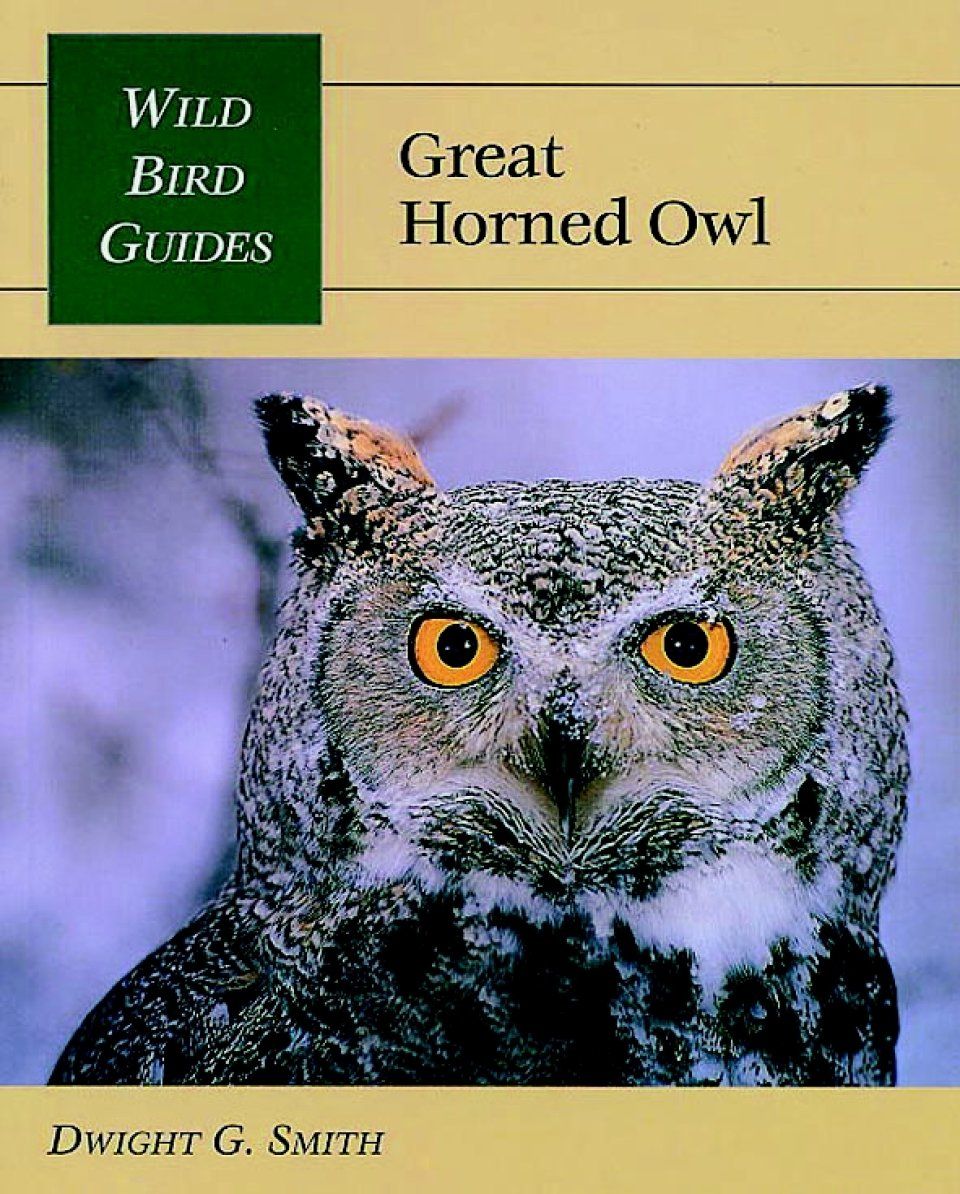 Great Horned Owl