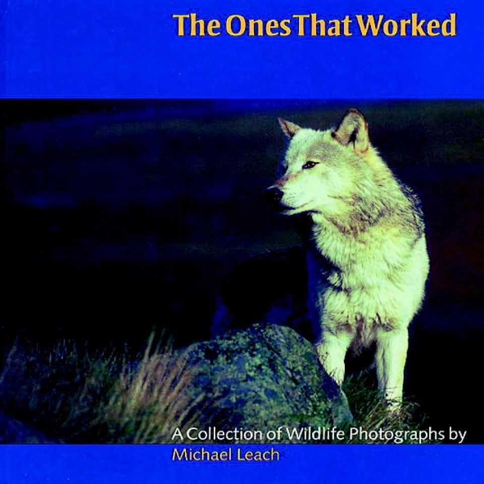 The Ones that Worked