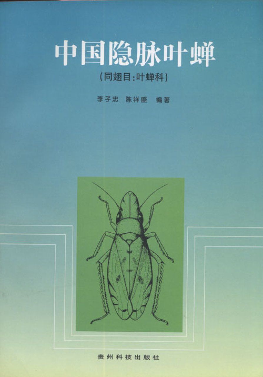 Nirvaninae from China [Chinese]
