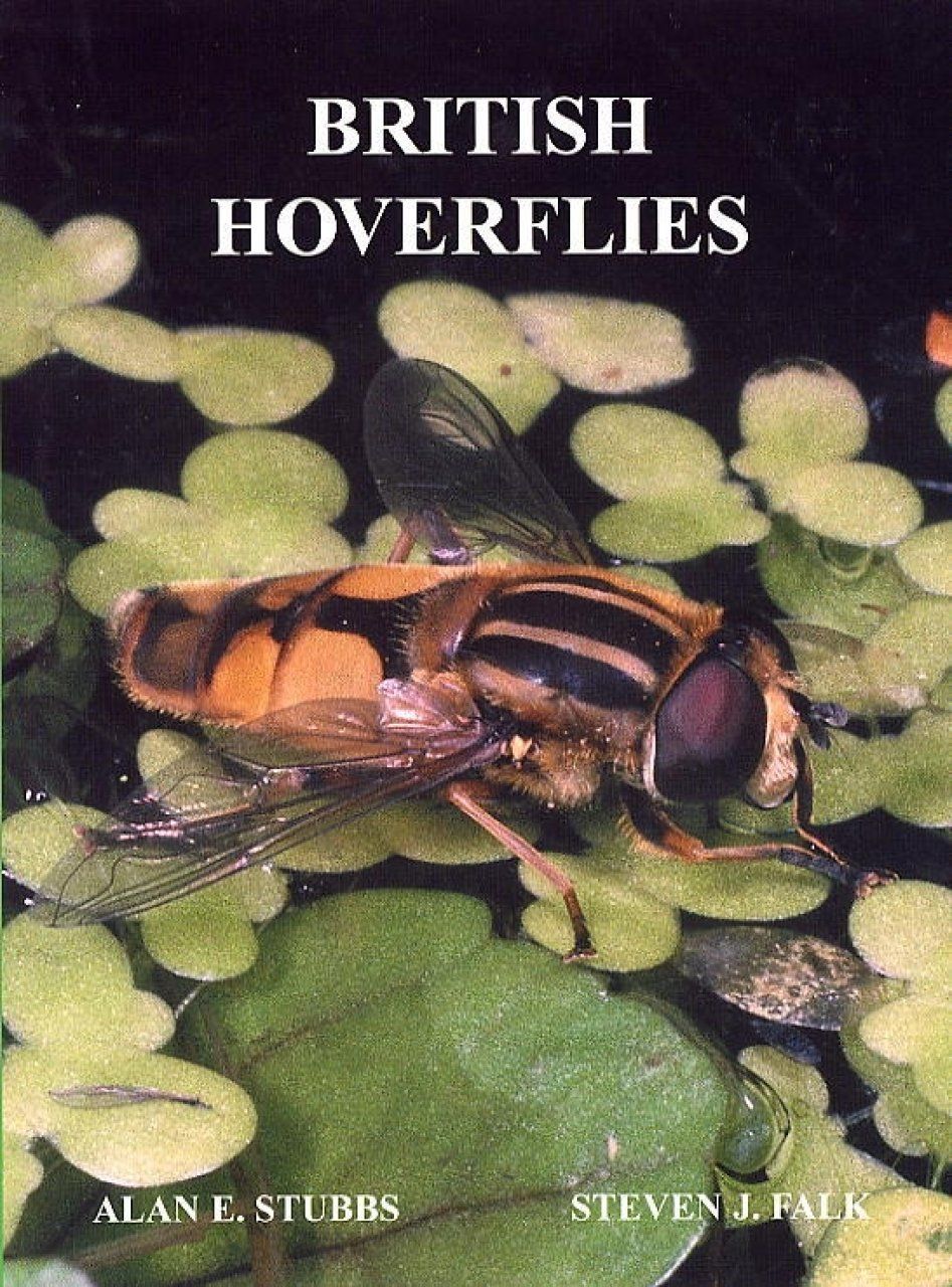 British Hoverflies