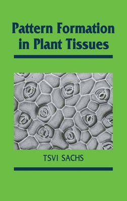 Pattern Formation in Plant Tissues