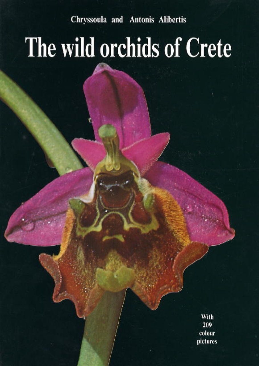 The Wild Orchids of Crete