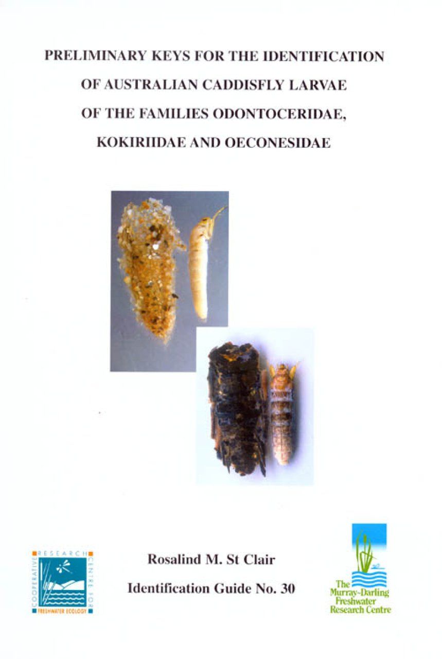 Preliminary Keys for the Identification of Australian Caddisfly Larvae of the Families Odontoceridae, Kokiriidae and Oeconesidae