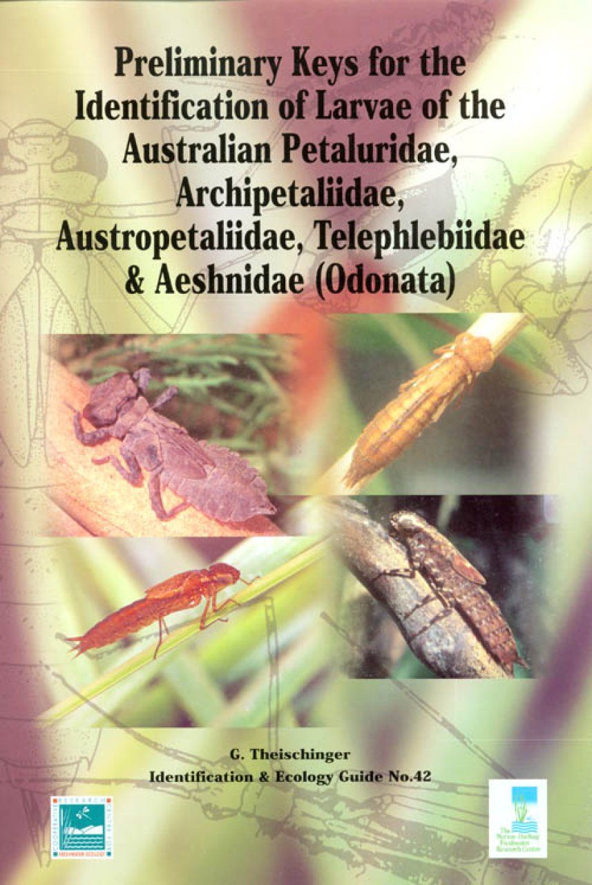 Preliminary Key for the Identification of Larvae of the Australian Petaluridae, Archipetaliidae, Austropetaliidae, Telephlebiidae &amp; Aeshnidae (Odonata)