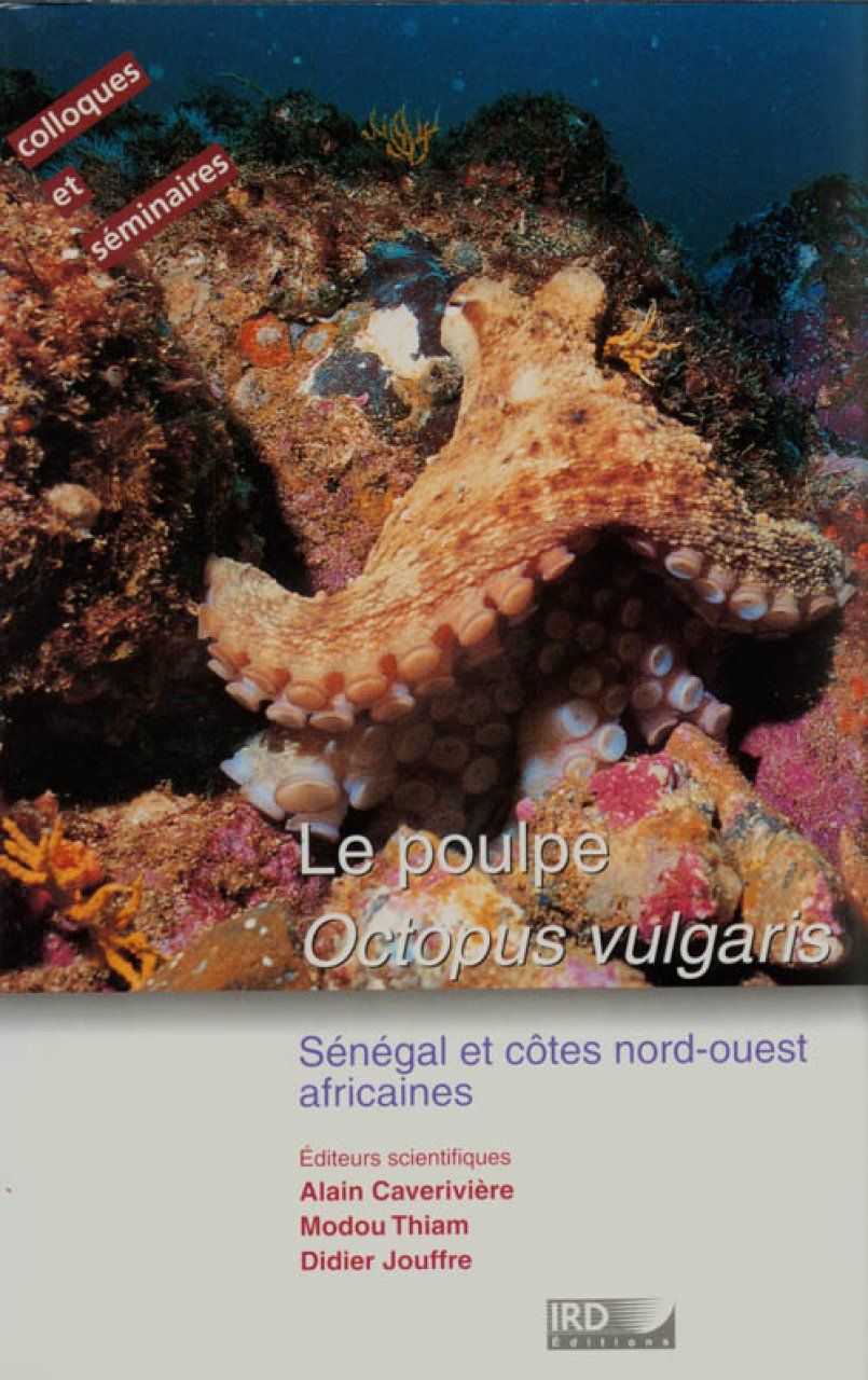 Le Poulpe (Octopus Vulgaris)