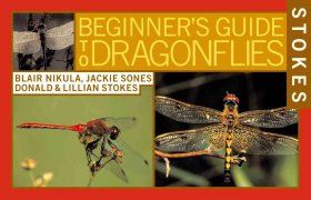 Stokes Beginner&#039;s Guide to Dragonflies and Damselflies
