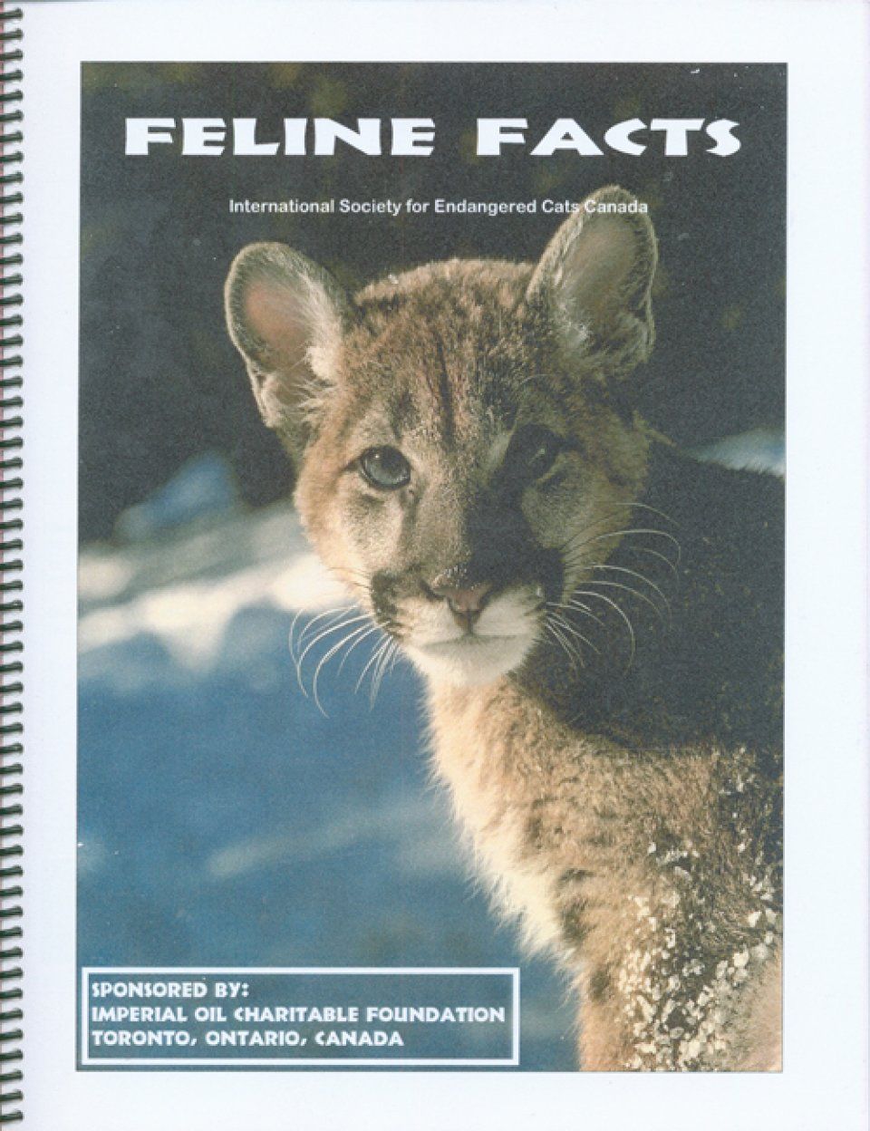 Feline Facts